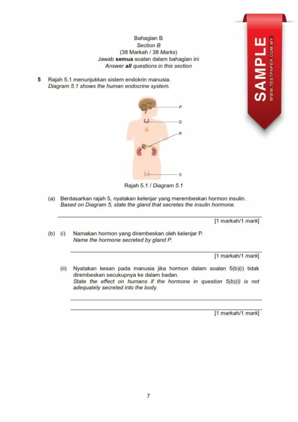 Download Soalan Ujian Pertengahan Tahun Sains Tingkatan 5 2024 yang Effective