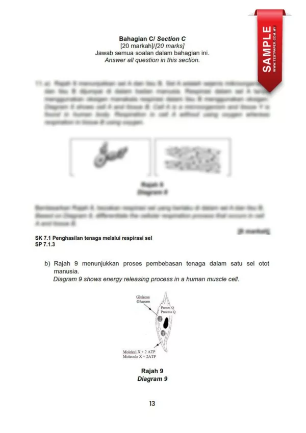 Ujian Pertengahan Tahun Biologi Tingkatan 4 2024