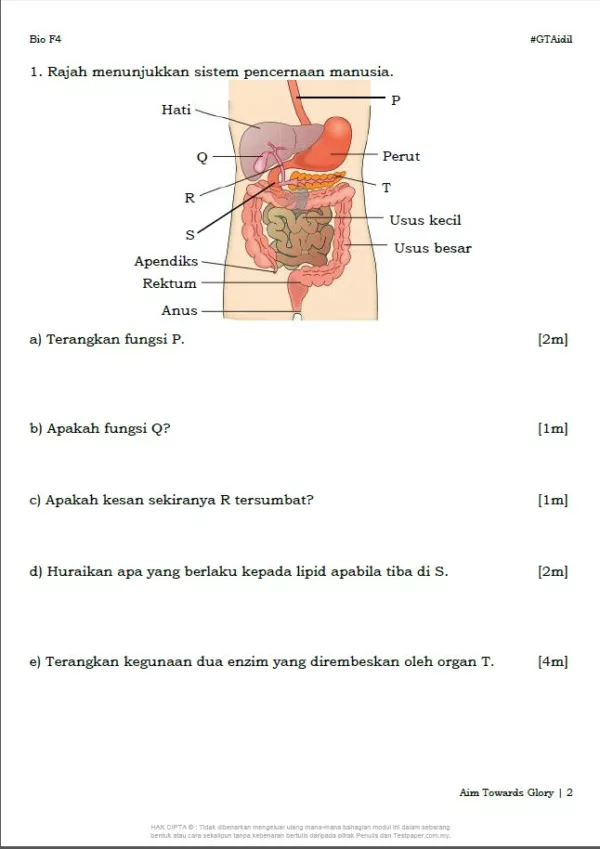 Soalan Latihan Biologi Tingkatan 4 Bab 6-9 yang Amazing