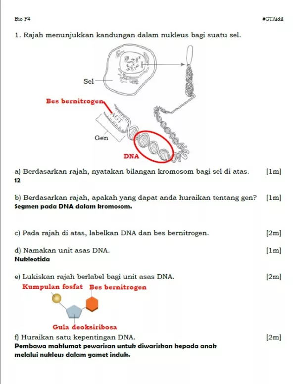 Soalan Latihan Biologi Tingkatan 4 Bab 6-9 yang Amazing