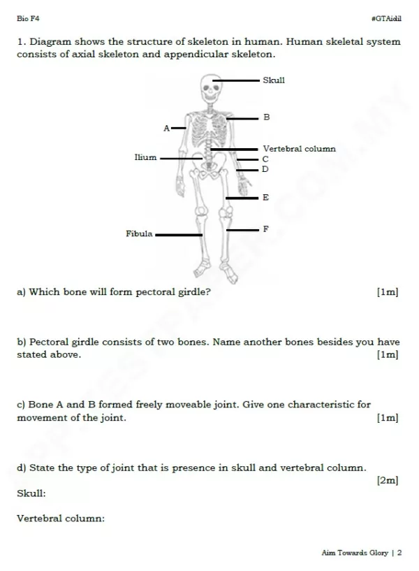 Ujian Biologi Tingkatan 4 Bab 10-15