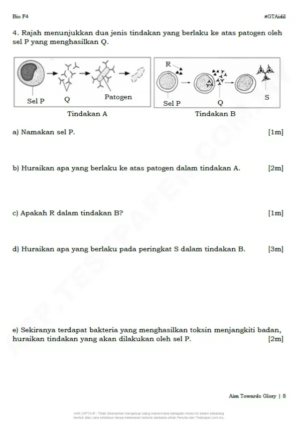 Ujian Biologi Tingkatan 4 Bab 10-15