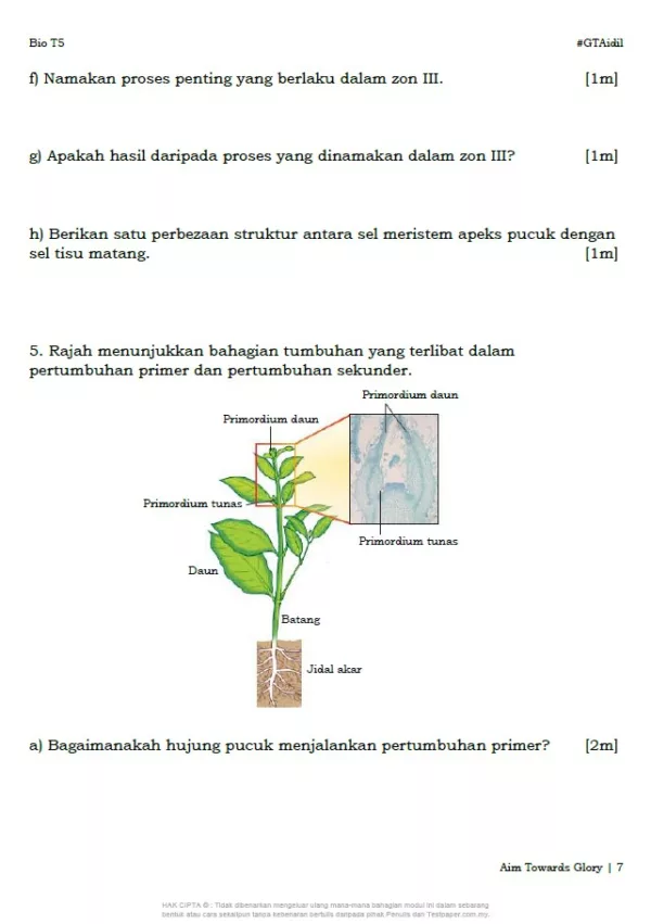 Soalan Latihan Biologi Tingkatan 5 Bab 1 dan 2