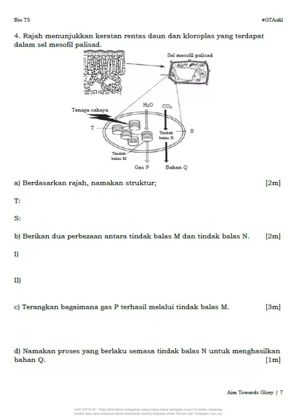 Soalan Latihan Biologi Tingkatan 5 Bab 1 dan 2