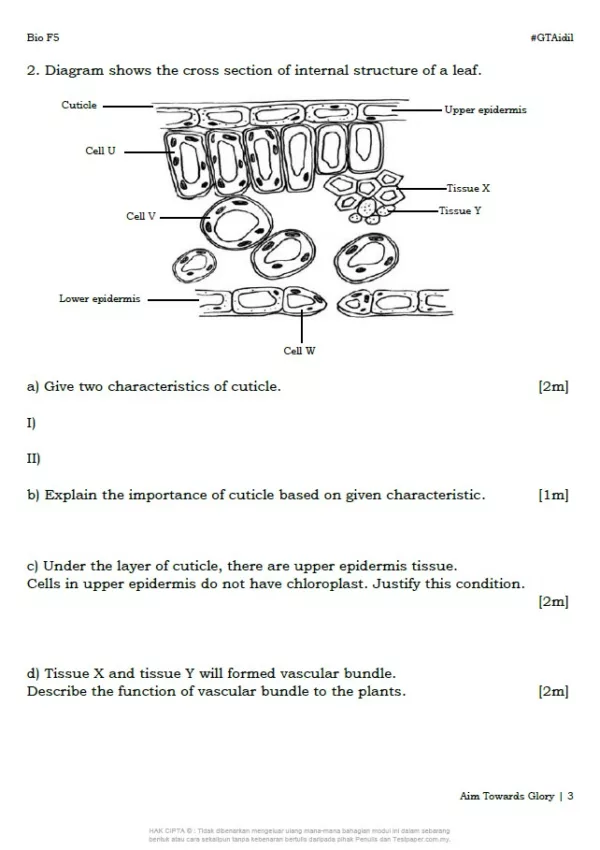 Soalan Latihan Biologi Tingkatan 5 Bab 1 dan 2