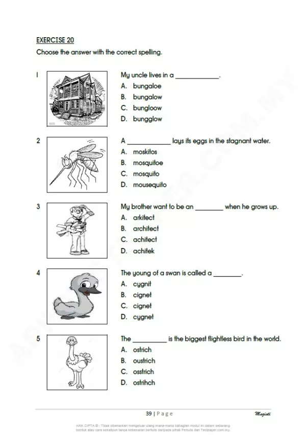 Soalan Latihan Bahasa Inggeris Sekolah Rendah