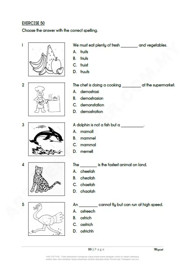 Soalan Latihan Bahasa Inggeris Sekolah Rendah