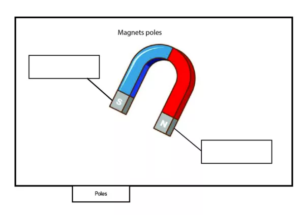 Bahan BBM Science English Tahun 1