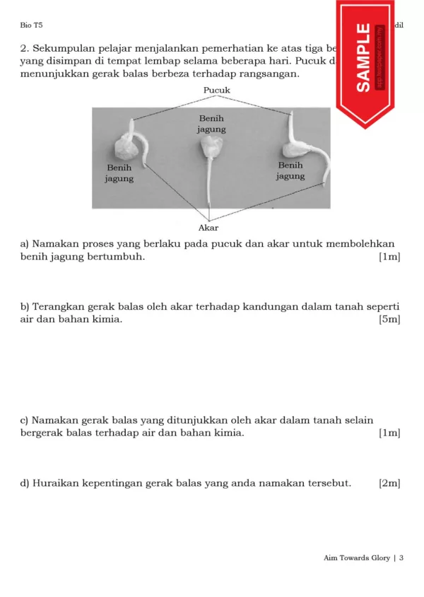 Soalan Latihan Biologi Bab 3-7 Tingkatan 5 KSSM