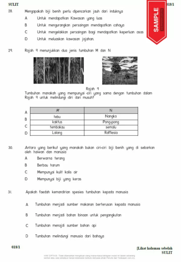 Soalan Latihan Topikal Sains Tahun 5 DLP KSSR