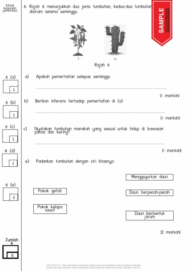 Soalan Latihan Topikal Sains Tahun 5 DLP KSSR