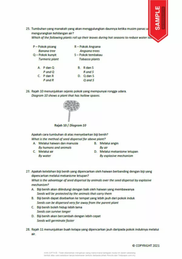 Soalan Ujian Pertengahan Tahun Sains dan Matematik Tahun 5 2021