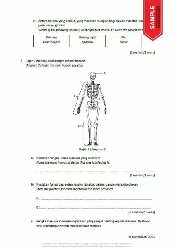 Soalan Ujian Pertengahan Tahun Sains dan Matematik Tahun 5 2021