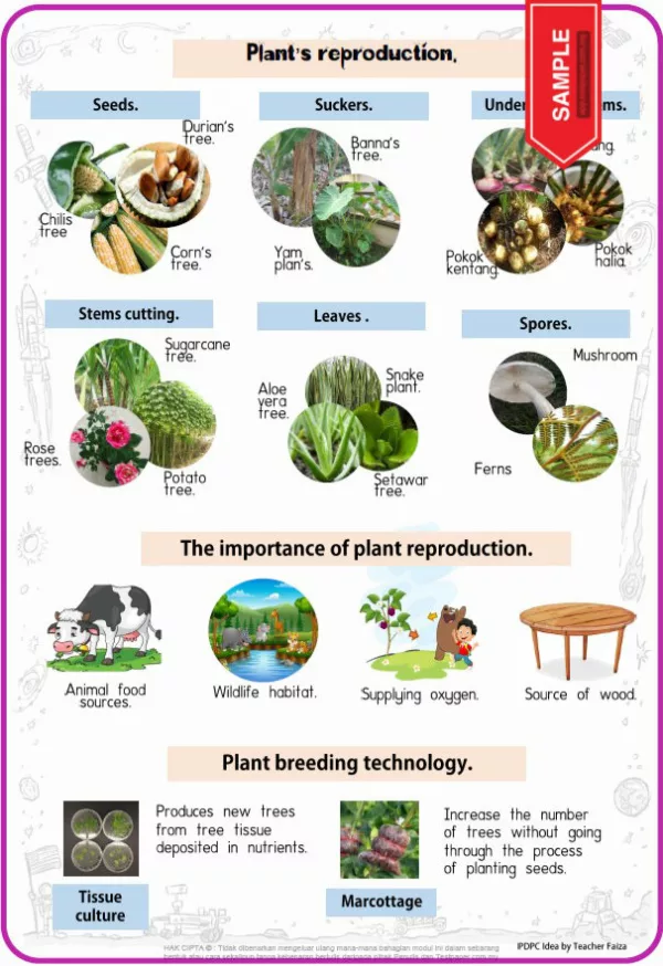 Nota Sains Tahun 3 DLP KSSR