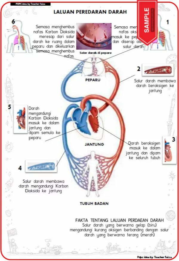 Nota Sains Tahun 5 DLP KSSR