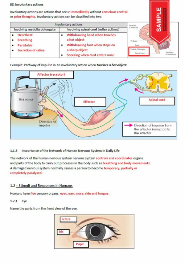 Soalan Latihan Sains Topikal Tingkatan 3 English