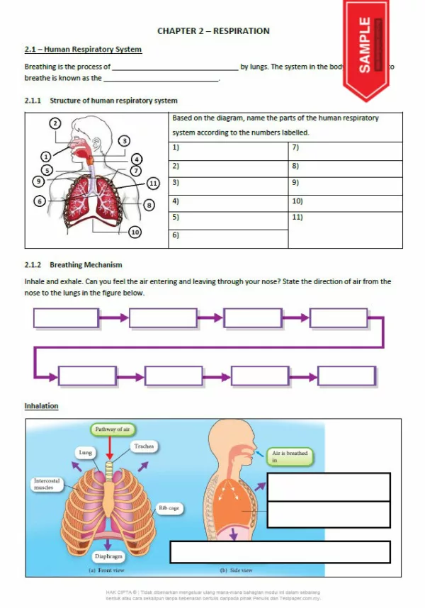 Soalan Latihan Sains Topikal Tingkatan 3 English