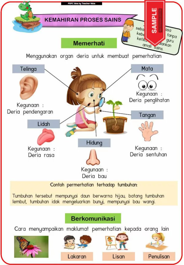 Nota Sains Tahun 1 KSSR