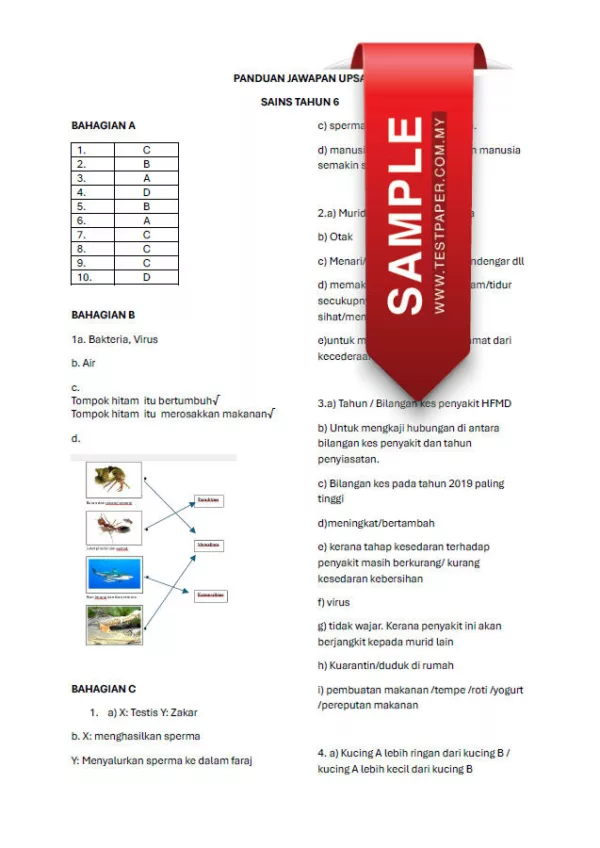 Kertas Ujian Pertengahan Tahun Sains Tahun 6 20242025 UPSA yang Awesome