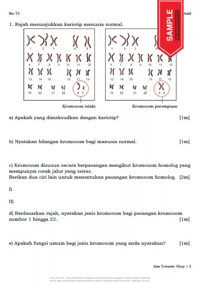 Soalan Latihan Biologi Tingkatan 5 Bab 11-13 DLP