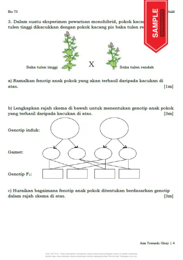 Soalan Latihan Biologi Tingkatan 5 Bab 11-13 DLP