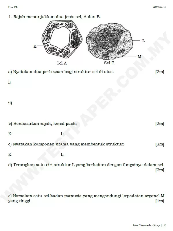 Bahan Soalan Latihan Ujian Pertengahan Tahun Biologi Tingkatan 4 yang Quality