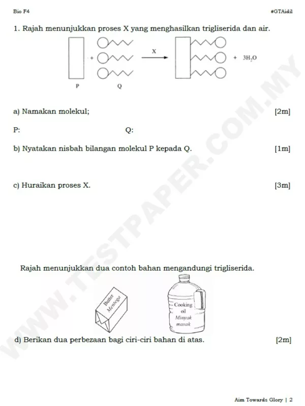 Bahan Soalan Latihan Ujian Pertengahan Tahun Biologi Tingkatan 4 yang Quality