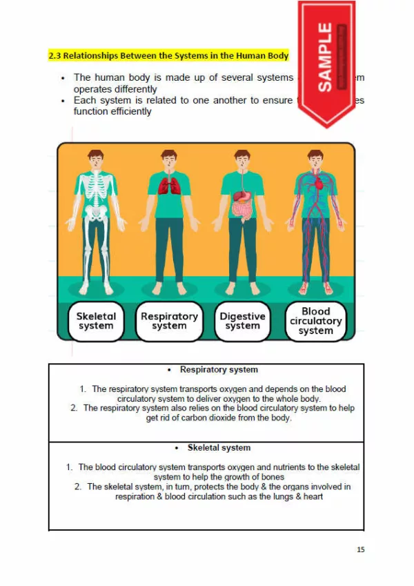 Nota Sains Ilustrasi Gambar Tahun 5