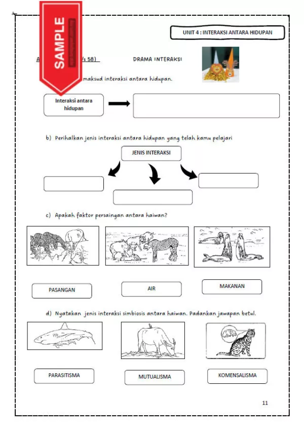 BBM Nota dan Latihan Sains Tahun 6