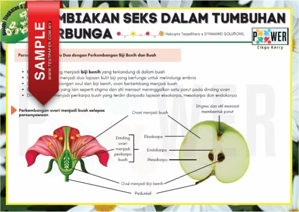 Nota Biologi Tingkatan 5 KSSM PDF