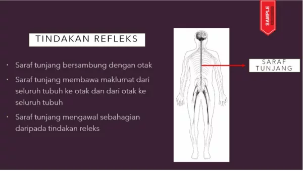 Soalan PBD Kuiz Sains Tahun 6 KSSR