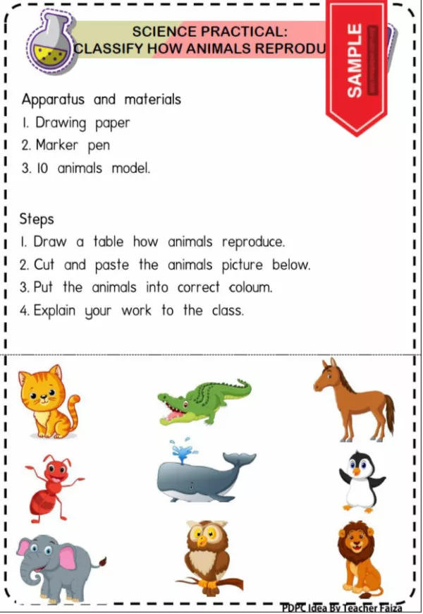 Science Practical Year 2