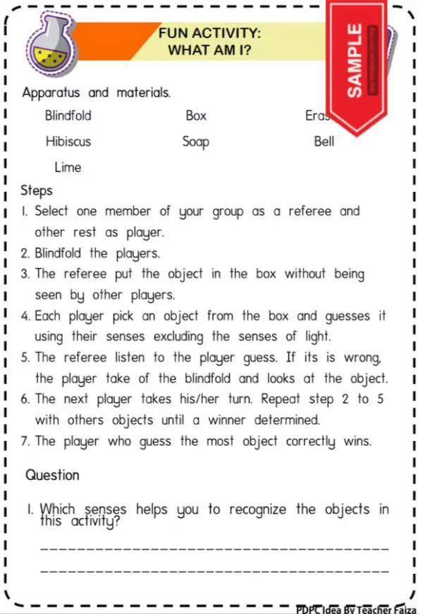 Science Practical Year 3