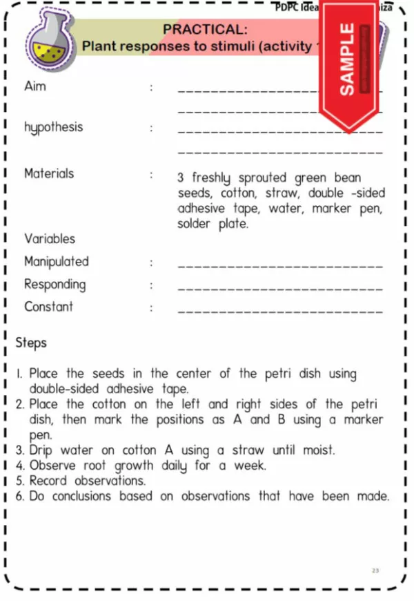 Science Practical Year 4