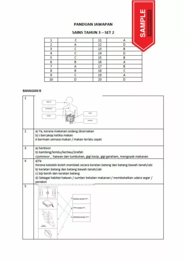 Soalan PBD Kuiz Sains Tahun 3 KSSR