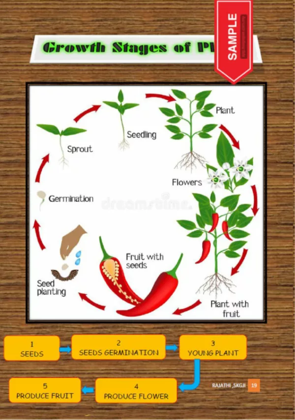 Nota Sains Bergambar Tahun 2 DLP