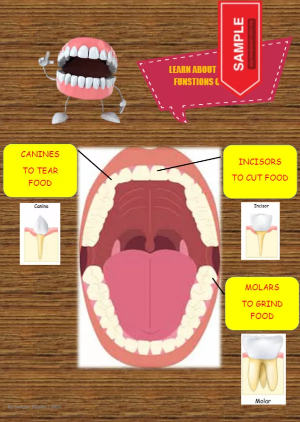 Nota Sains Bergambar Tahun 3 DLP