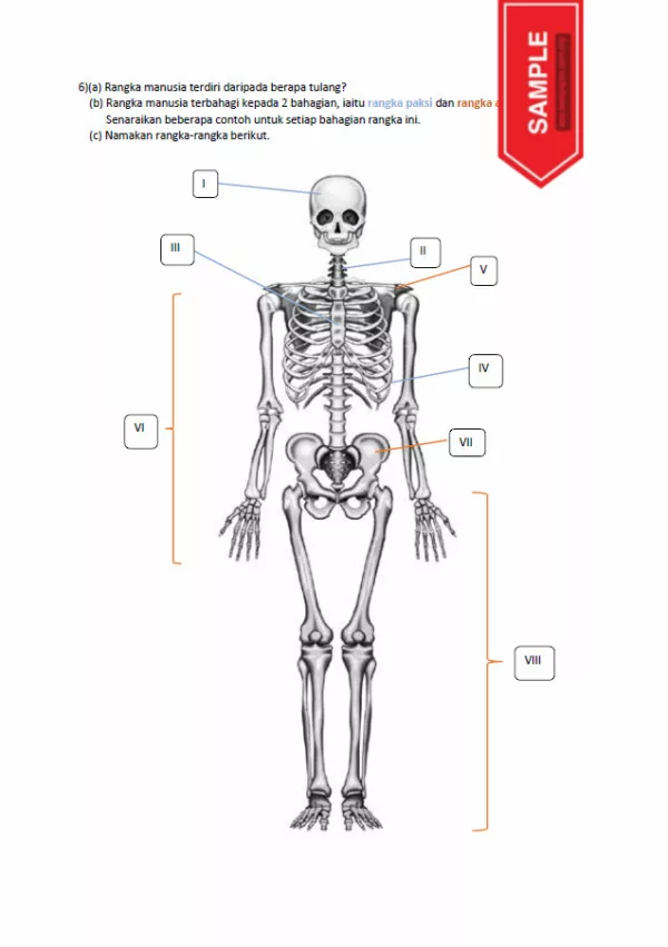 Soalan Latih Tubi Sains Tingkatan 4 Bab 6-10