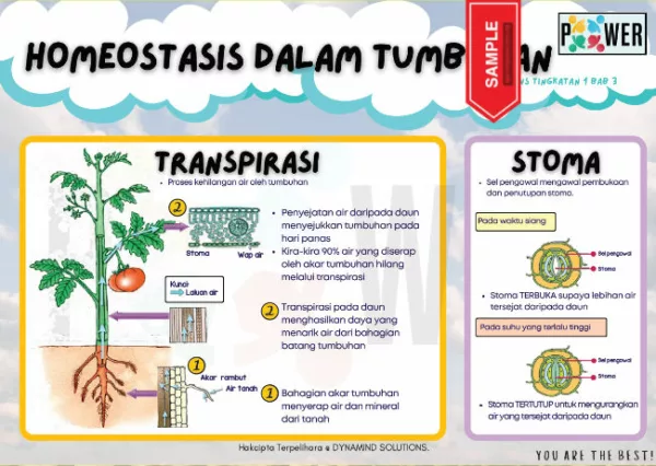 Nota Sains Tingkatan 1 KSSM