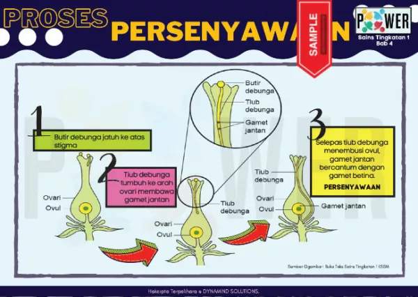 Nota Sains Tingkatan 1 KSSM