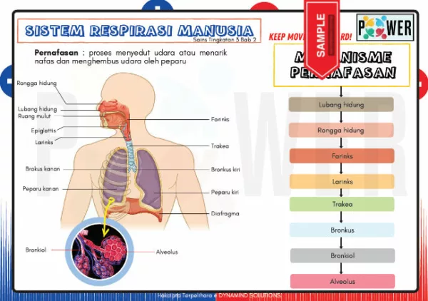 PDF Nota Sains Tingkatan 3 KSSM