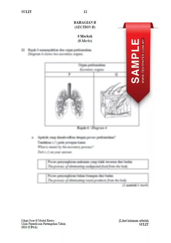Soalan Ujian Pertengahan Tahun Sains Tahun 4 2023-2024