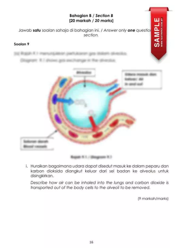 Soalan Latihan Biologi SPM Kertas 1 dan 2 2024