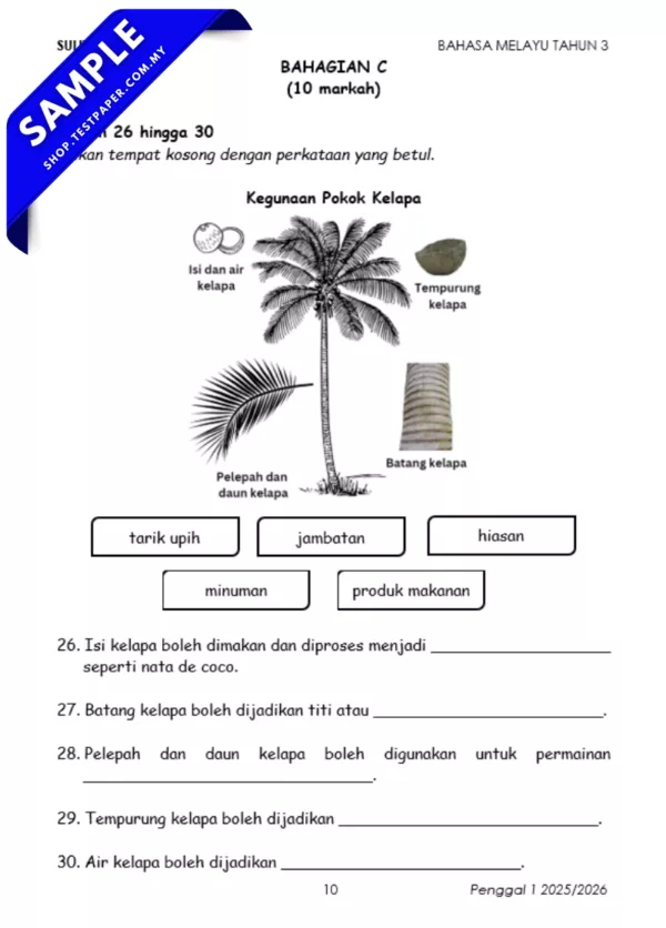 Kertas Ujian Bahasa Melayu Tahun 3 Sumatif 1/2025 Mengikut KSSR