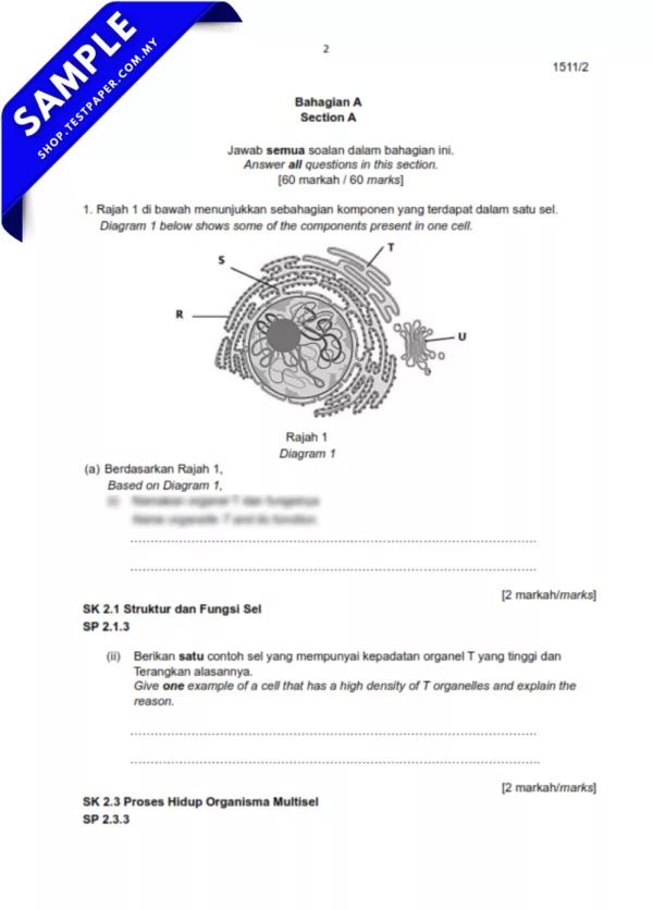 Kertas Ujian Biologi Tingkatan 4 Pertengahan Tahun 2025-2026 Dengan Format Pilihan JSU