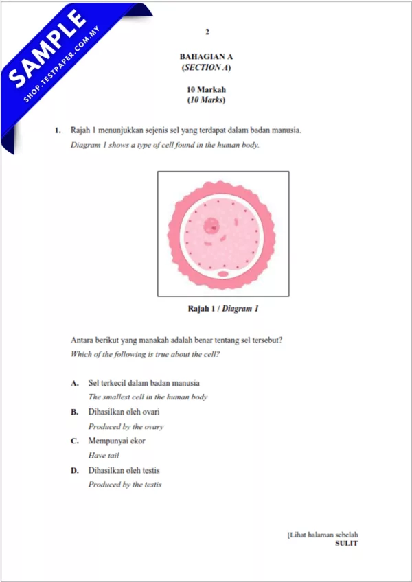 Download Soalan UPSA Sains Tahun 6 2025-2026 Bagi Pertengahan Tahun Dalam Word
