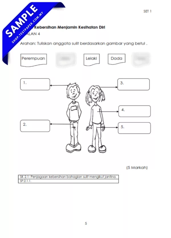Download Ujian Pengurusan Diri PPKI Tahun 3 Pertengahan Tahun 2025-2026 USPT Ada Word dan PDF