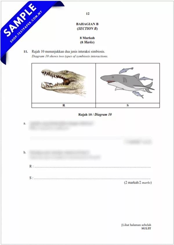 Download Soalan UPSA Sains Tahun 6 2025-2026 Bagi Pertengahan Tahun Dalam Word