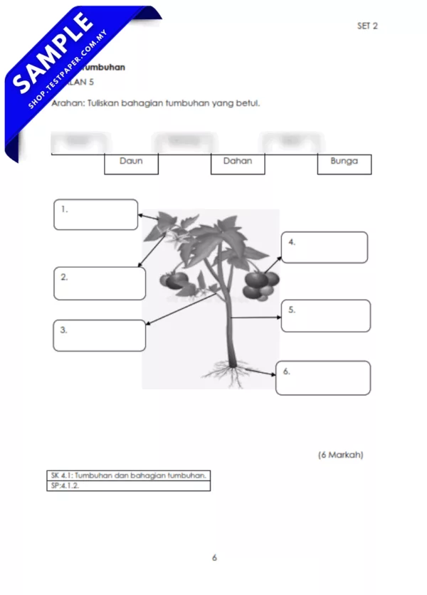 Ujian Sains Sosial PPKI Tahun 4 Pertengahan Tahun 2025-2026 USPT Ada PDF dan Word