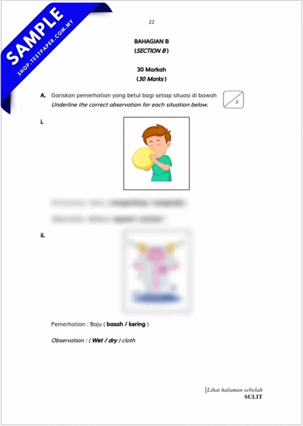 Ujian Terkini Pertengahan Tahun Sains Tahun 1 2025-2026 PDF+Word
